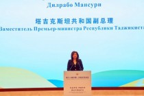 دلربا منصوری، معاون نخست وزیر تاجیکستان در همایش همکاری چین و آسیای مرکزی شرکت کرد