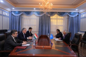 Mulo-oti_vaziri_kor-oi_hori-_bo_-amo-angsozi_doimii_SMM_dar_To-ikiston