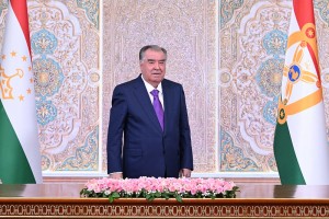 55101388657_c5c2480b22_c