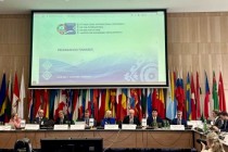 همایش مربوط به مقدمات چهارمین کنفرانس آب دوشنبه در وین برگزار شد