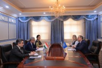 مسئله همکاری بین تاجیکستان و سازمان بهداشت جهانی در دوشنبه بحث و بررسی شد