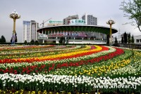 جشنواره گل ها با عنوان “سیر گل لاله” در دوشنبه برگزار خواهد شد