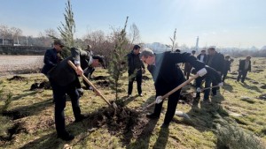 photo_2026-02-16_16-12-42