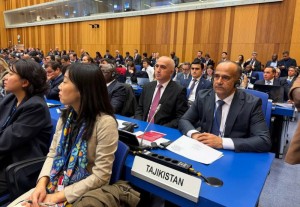 photo_2026-03-10_10-05-54