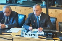 کمیته مبارزه با شکنجه سازمان ملل متحد از گزارش ملی تاجیکستان در مورد اجرای کنوانسیون مبارزه با شکنجه قدردانی کرد