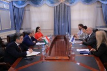 دیدار معاون وزیر امور خارجه جمهوری تاجیکستان با نماینده ویژه رئیس سازمان امنیت و همکاری اروپا در امور گفتگو و اعتماد 