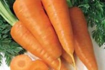 Цена моркови лишила директора рынка должности