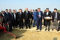 Лидер нации дал старт началу сева хлопчатника в хозяйстве Бабаджан Гафуровского района
