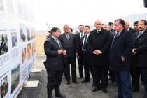 Лидер нации ознакомился с возведением сада экспортного сорта чернослива на площади  100 га в Б. Гафуровском районе