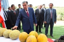 Лидер нации осмотрел ход полевых работ и выставку аграрной продукции дехканского хозяйства Файзали Саидова Бохтарского района