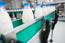 На севере страны увеличилось производство молока