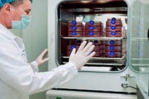 Лаборатория ТГМУ внедряет клеточную терапию — достижение современной медицины