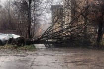 Непогода нанесла урон нескольким районам Согдийской области