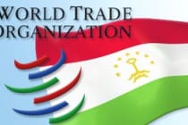 МТЦ в Таджикистане развивает ремесла и разъясняет правила ВТО