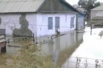 Проливные дожди нанесли ущерб хозяйствам нескольких районов