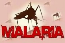 В Эфиопии зарегистрировано 1,8 млн случаев заболевания малярией с начала года, есть погибшие