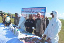 Семинар по организации борьбы с саранчой в Джайхуне