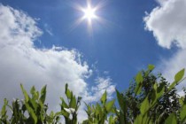 Агентство по гидрометеорологии РТ: «В ближайшие дни повышение температуры не прогнозируется»