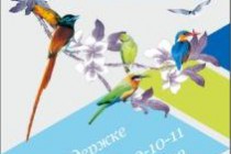 Выставка декоративных птиц на фоне выставки живописи пейзажа Таджикистана
