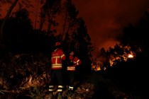 В Португалии из-за лесных пожаров эвакуировали 3 поселка