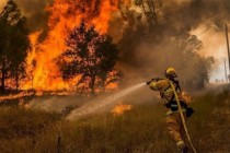 В Канаде из-за лесных пожаров эвакуировали более 45 тысяч человек