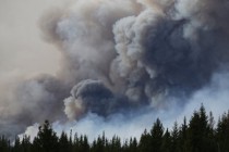 В Канаде из-за лесных пожаров эвакуировали порядка 37 тысяч человек
