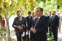 Президент страны Эмомали Рахмон ознакомился с деятельностью дехканских хозяйств и достижениями аграриев Вахшского района