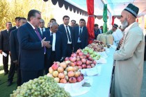 Лидер нации ознакомился с деятельностью дехканского хозяйства «Бахор-1» района Дусти
