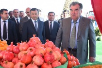 Глава государства Эмомали Рахмон ознакомился с деятельностью Общества с ограниченной ответственностью Аграрное объединение «Водии заррин»
