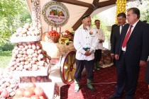 Посещение Главой государства Эмомали Рахмоном выставку сельского хозяйства, промышленности и народного промысла  Дарвазского района