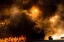 В округе Лос-Анджелес ввели режим ЧС из-за природных пожаров