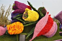 НЕВЕРОЯТНОЕ ЗРЕЛИЩЕ! Сегодня в Голландии проходит грандиозное шествие цветов