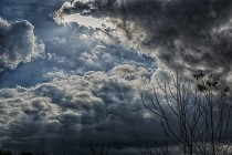 Агентство по гидрометеорологии РТ: «Сегодня в республике  ожидается переменная облачность, без осадков»