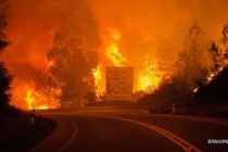 Число погибших в результате лесных пожаров в Португалии возросло до 31 человека