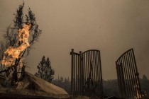 Число жертв лесных пожаров в Калифорнии возросло до 15 человек