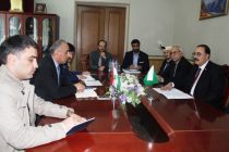 Таджикистан и Пакистан выразили готовность к многостороннему сотрудничеству в сферах культуры и искусства