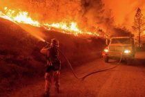 В Калифорнии объявили чрезвычайное положение из-за лесного пожара