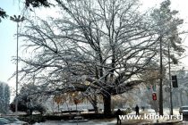 О ПОГОДЕ: сегодня в Душанбе синоптики обещают ночью снег и морозы