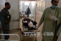 Три человека погибли при взрыве, совершенном смертником на востоке Афганистана