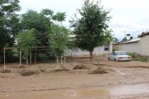 Ситуация в Лахшском районе: около 25 приусадебных участков были подтоплены