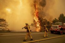 В Калифорнии второй человек погиб в результате природного пожара