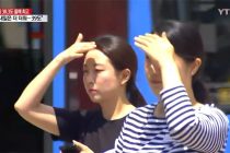 В Республике Корея 29 человек погибли от жары