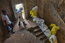 Новые пробы Эболы из Демократической Республики Конго подтвердили штамм Заира