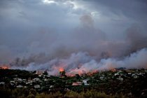 В Греции число жертв пожара увеличилось до 98 человек