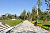 О ПОГОДЕ: жаркая погода в Таджикистане сохранится до 4 августа