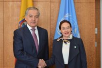 В Нью-Йорке обсуждены вопросы укрепления сотрудничества Таджикистана со структурами ООН