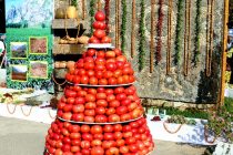Объем валовой продукции сельского хозяйства в Таджикистане за 4 месяца составил 6094,1 млн сомони