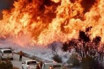 Число жертв лесного пожара в Калифорнии увеличилось до 48 человек