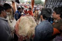 12 человек скончались в результате отравления поддельным алкоголем на востоке Индии