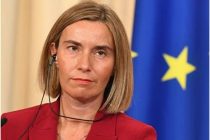 Страны ЕС готовят совместное заявление с призывом к России и США сохранить ДРСМД